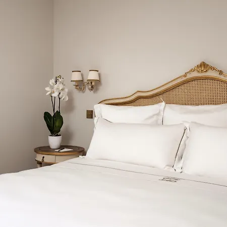 도무스 자미텔로